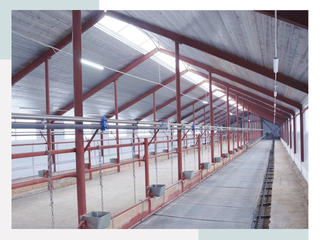 Строительство коровников в Прохладном от 650 руб.