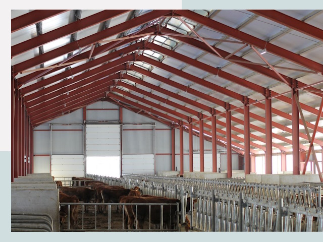 Строительство коровников в Прохладном