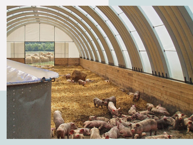 Строительство свинарников в Прохладном